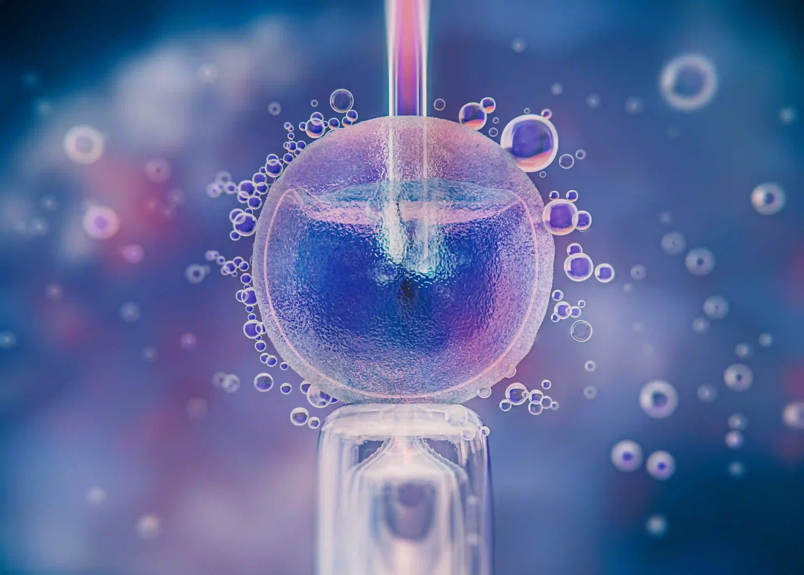 Educational fertility illustration representing reproductive health and family planning.